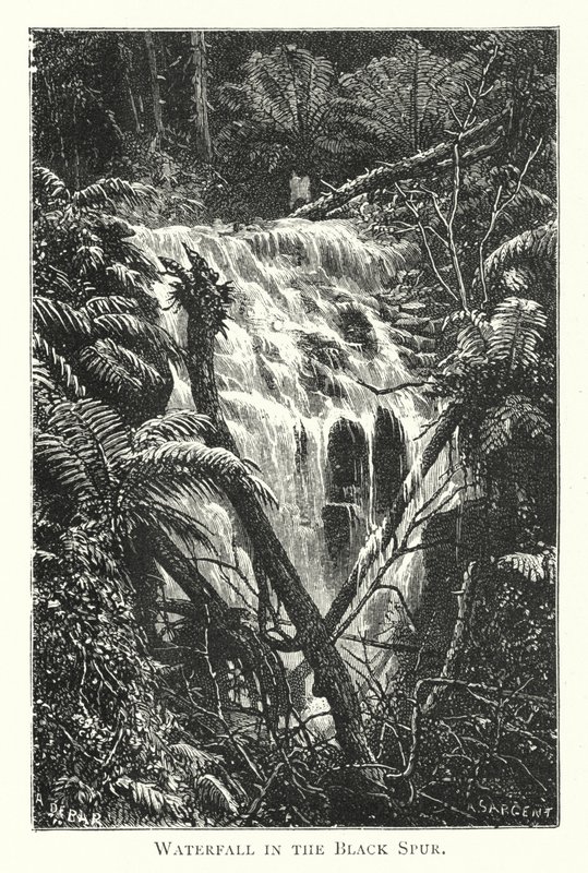 Australia: Foss i Black Spur (gravering) av English School