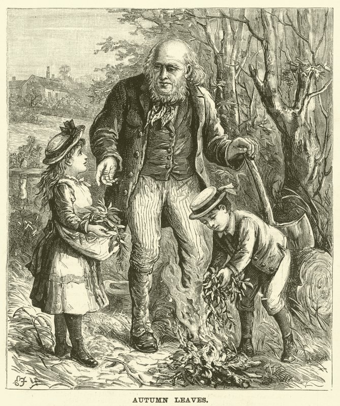 Høstblader (gravering) av English School