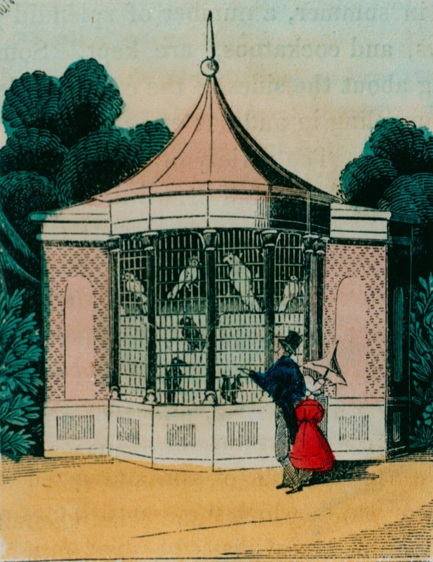 Voliere for papegøyer og kakaduer i London zoo. 1840-årene av English School
