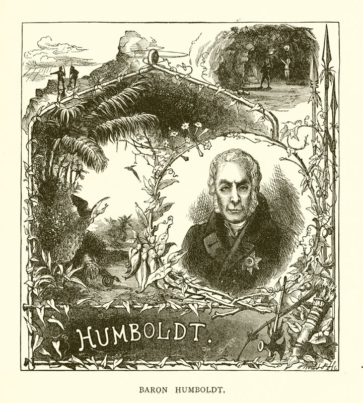 Baron Humboldt av English School