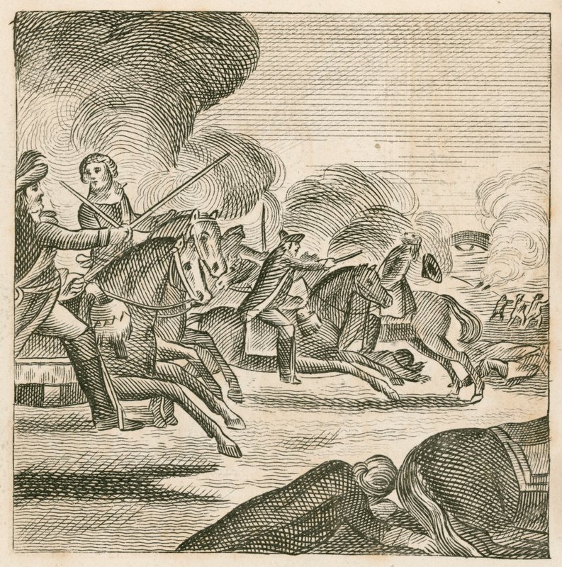 Battle of the Boyne, Irland av English School