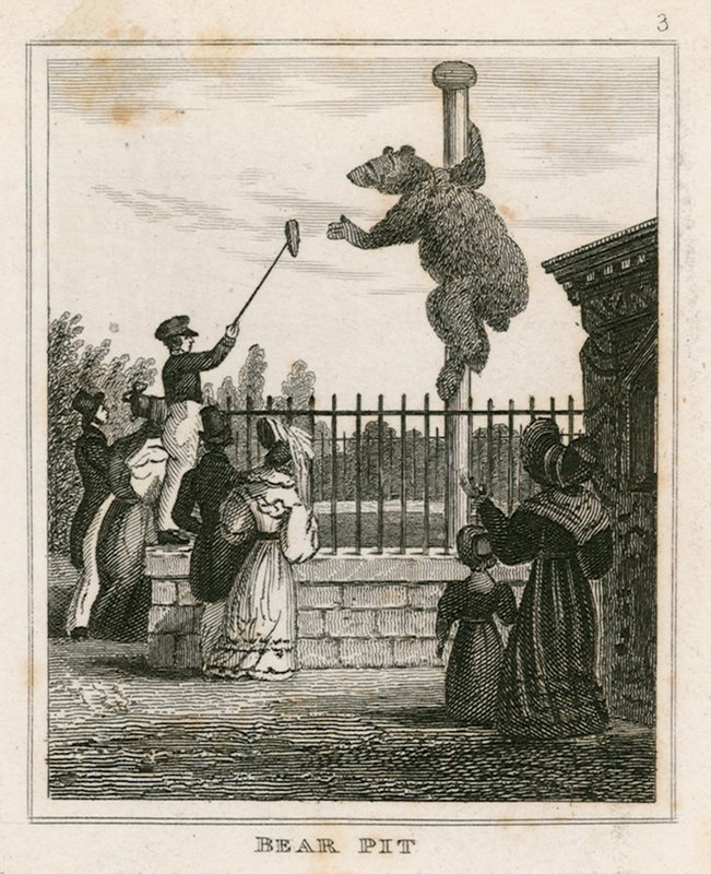 Bear Pit, London Zoological Gardens, Regents Park av English School