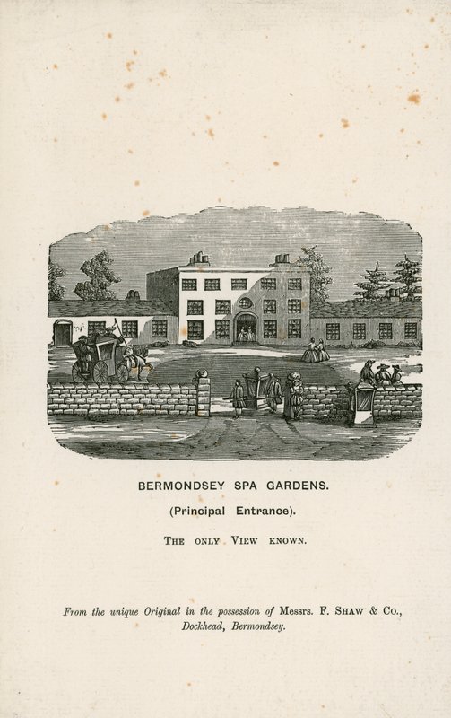 Bermondsey Spa Gardens av English School