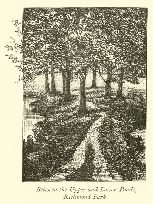 Mellom øvre og nedre dammene, Richmond Park av English School