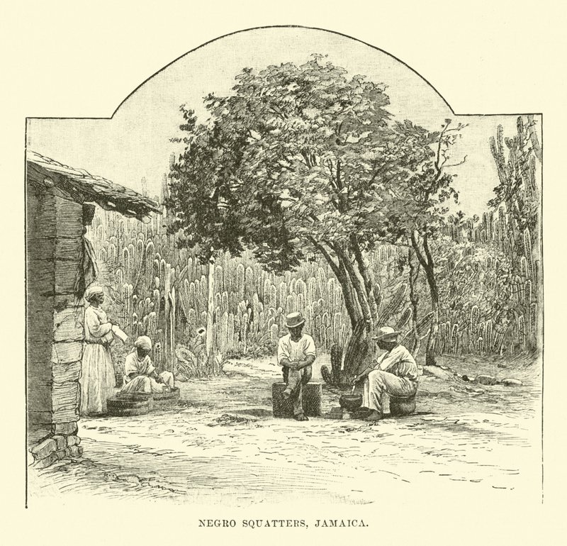 Black Squatters, Jamaica av English School