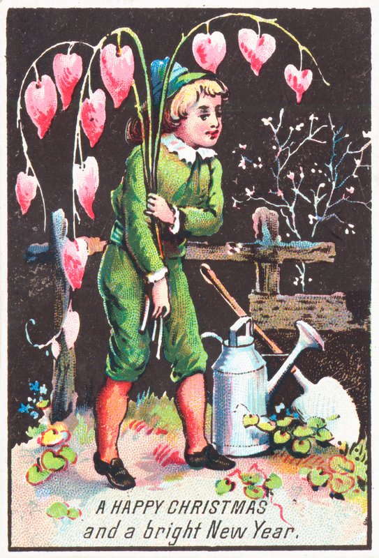 Gutt som bærer Bleeding Heart-blomster, julekort av English School
