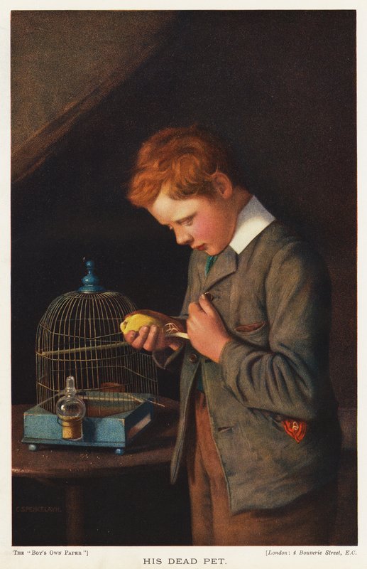 Gutt med sin døde kjæledyrkanari (farge litho) av English School
