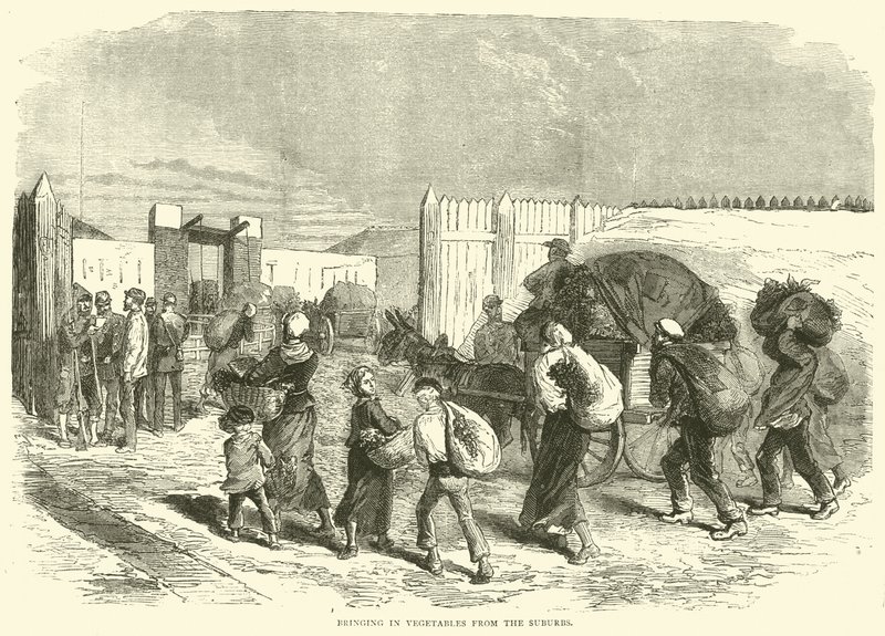 Innføring av grønnsaker fra forstedene, oktober 1870 av English School