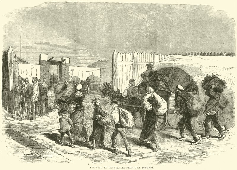 Innføring av grønnsaker fra forstedene, oktober 1870 av English School