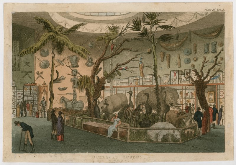 Bullocks Museum av English School