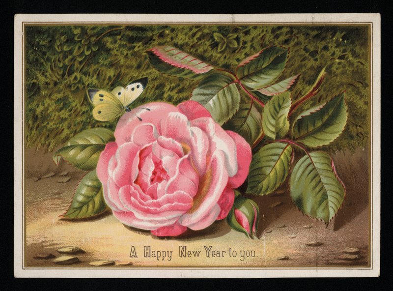 Sommerfugl med rosa rose, nyttårs gratulasjonskort (chromolitho) av English School