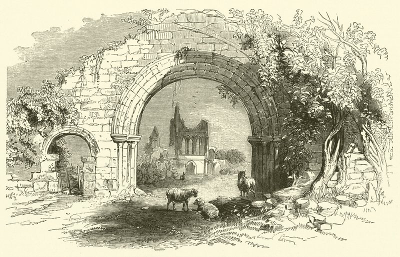 Byland Abbey (gravering) av English School