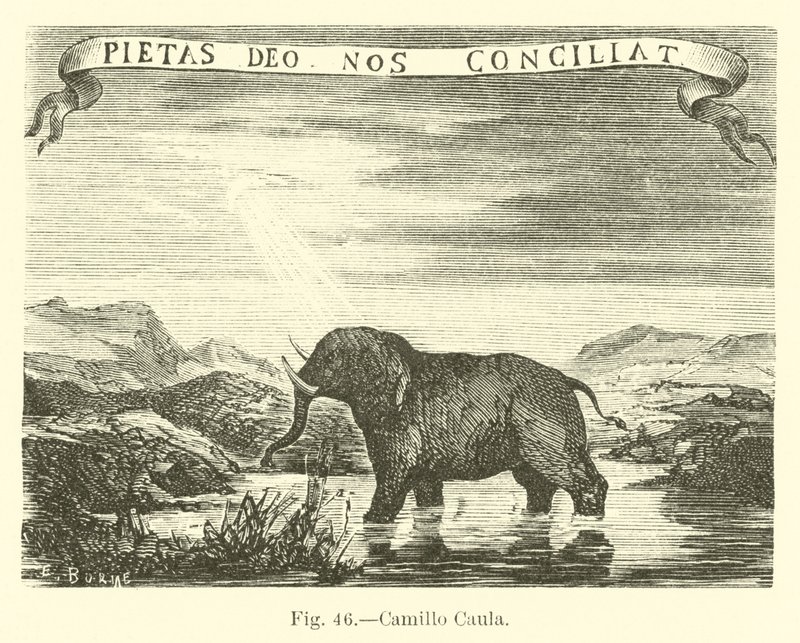 Camillo Caula av English School