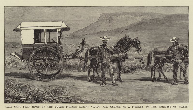 Cape Cart sendt hjem av de unge prinsene Albert Victor og George som en gave til prinsessen av Wales (gravering) av English School