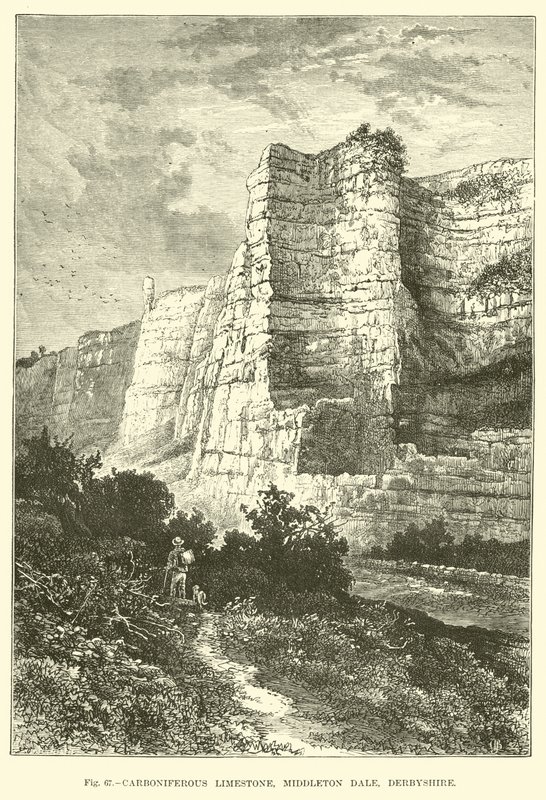 Karbonkalkstein, Middleton Dale, Derbyshire av English School