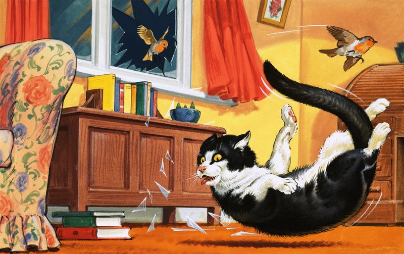 Katt faller gjennom glassvindu av English School