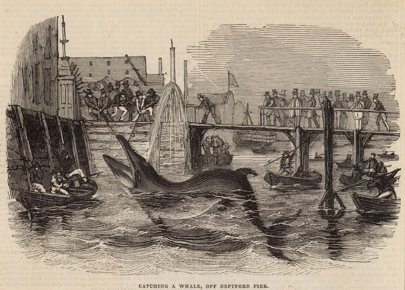 Fange en hval utenfor Deptford Pier av English School