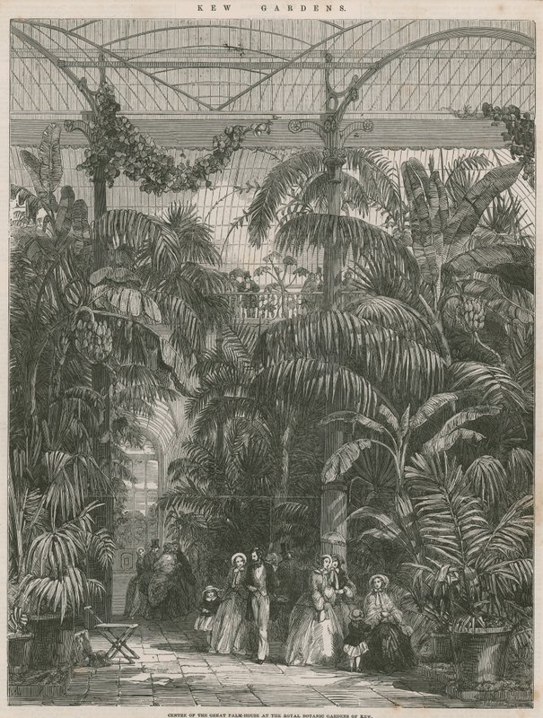 Sentrum av Great Palm House ved Royal Botanic Gardens of Kew av English School