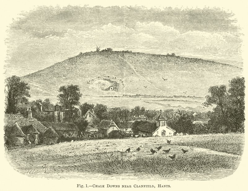 Chalk Downs nær Clanfield, Hants av English School