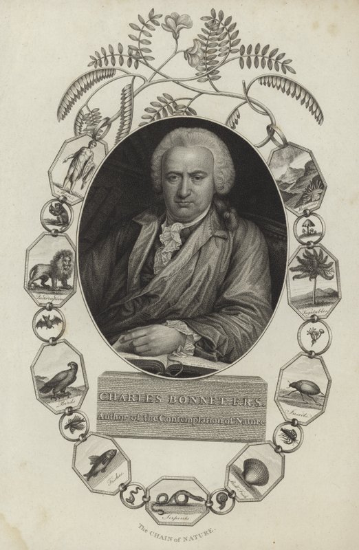 Charles Bonnet av English School