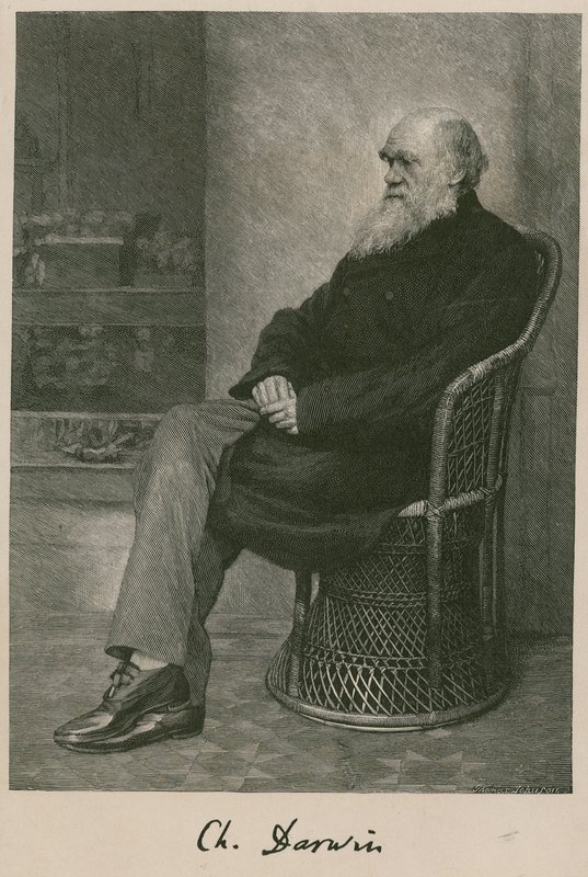 Charles Darwin av English School