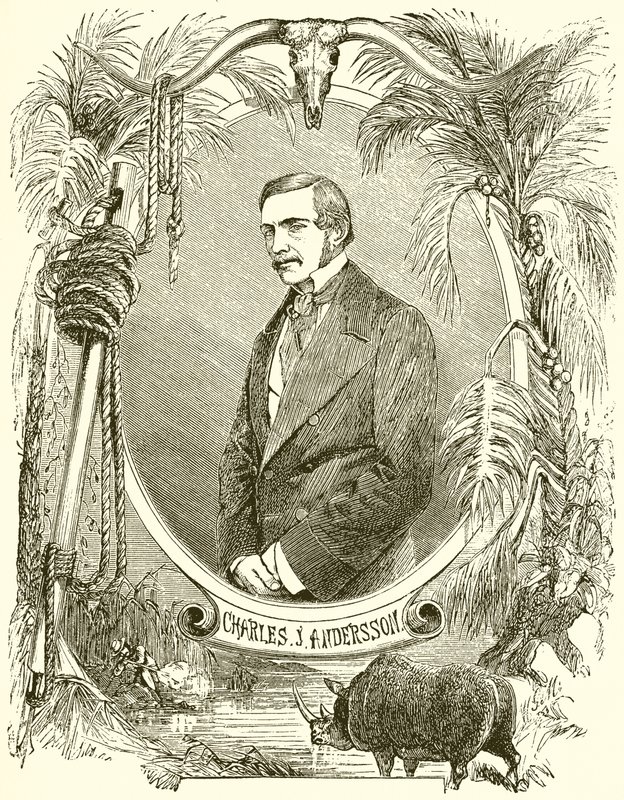 Charles J Anderson av English School