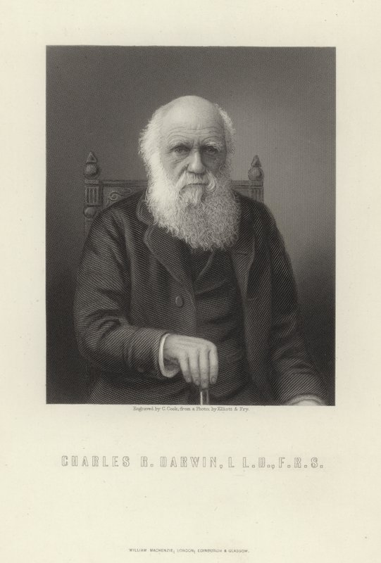 Charles R. Darwin av English School
