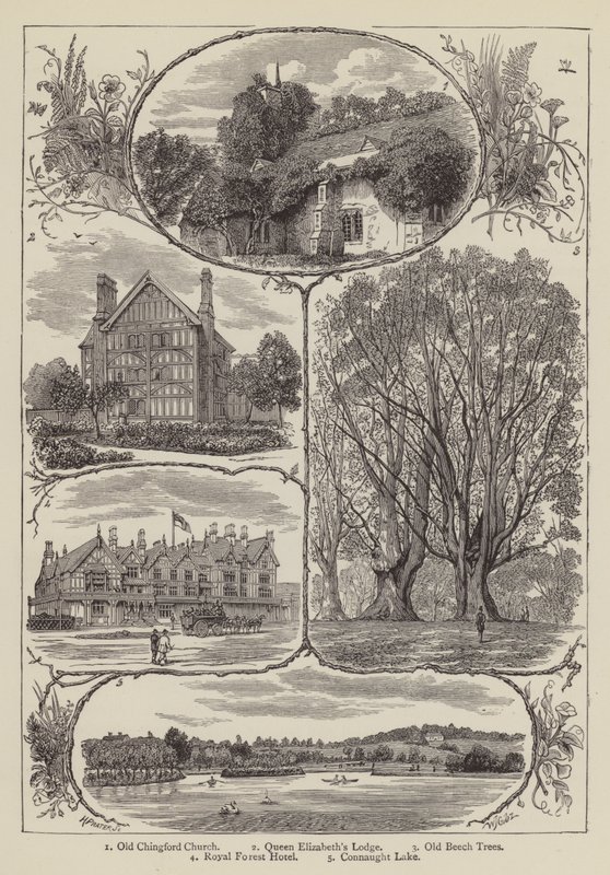 Chingford (gravering) av English School