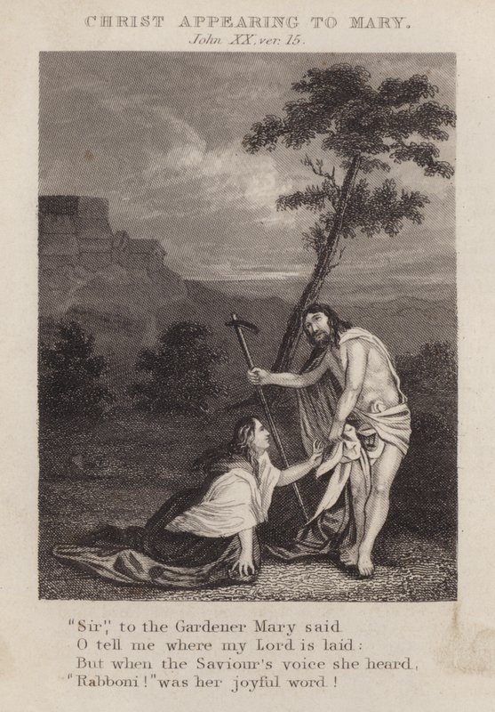 Kristus viser seg for Maria, Johannes XX, ver 15 (gravering) av English School