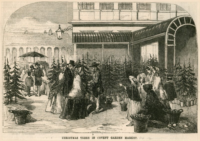 Juletrær i Covent Garden Market, London av English School