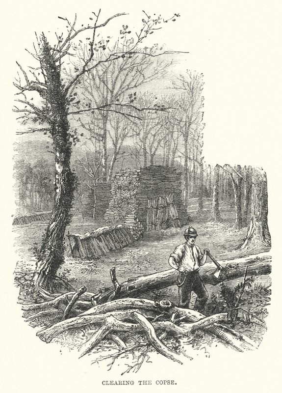 Rydd fjellet (gravering) av English School