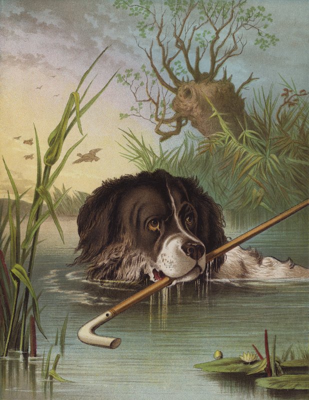 Clever Dash (chromolitho) av English School
