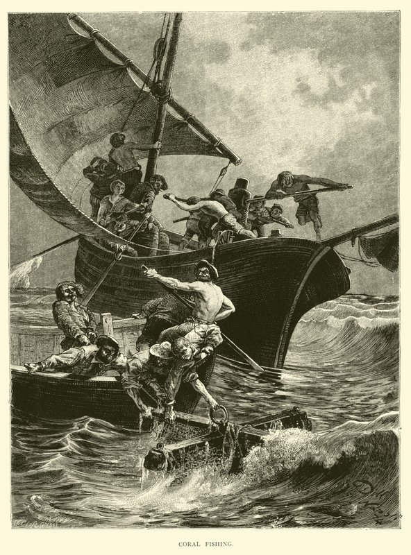 Korallfiske av English School