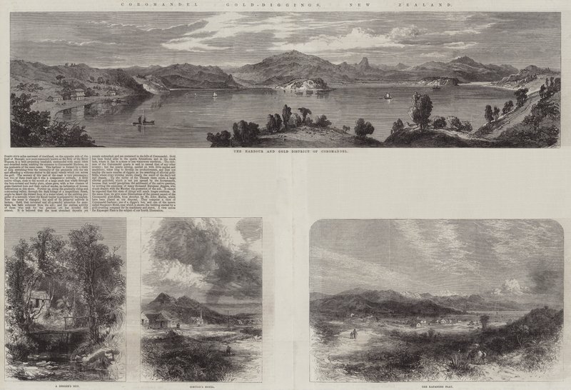 Coromandel Gold-Diggings, New Zealand (gravering) av English School