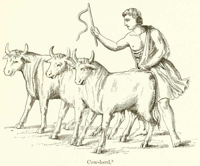 Ku-Herd av English School