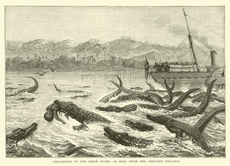 Krokodiller på Shire River, sett fra Pioneer Steamer av English School