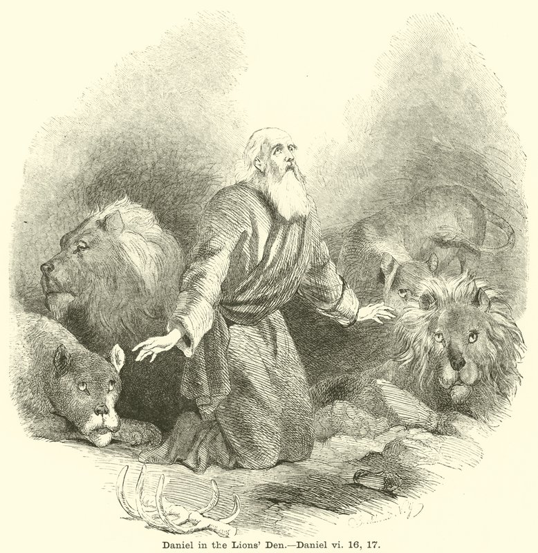 Daniel i Løvehulen, Daniel, vi, 16, 17 av English School