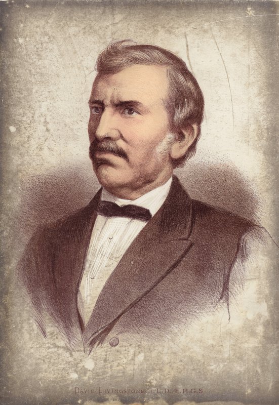 David Livingstone, oppdagelsesreisende av English School