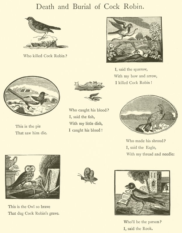 Død og begravelse av Cock Robin av English School