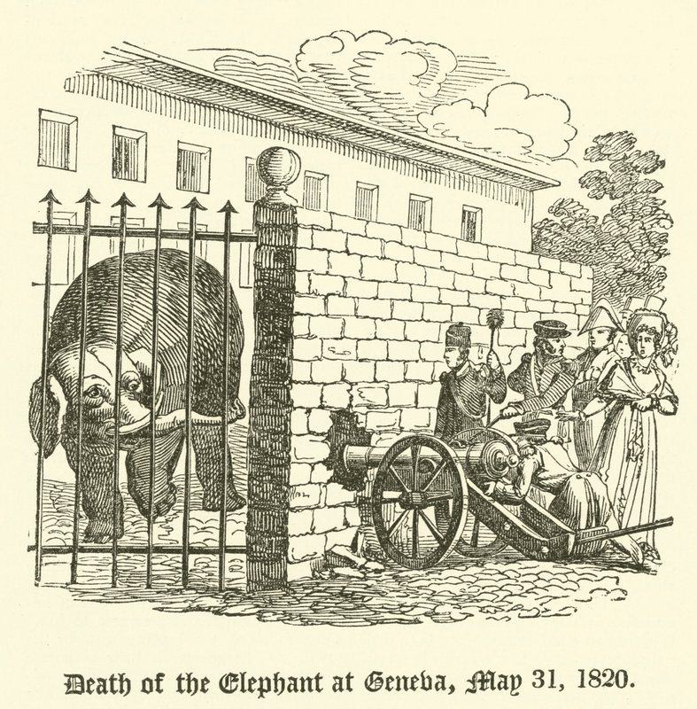 Elefantens død i Genève, 31. mai 1820 av English School