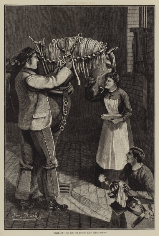 Dekorerer ham for London Cart Horse Parade (gravering) av English School