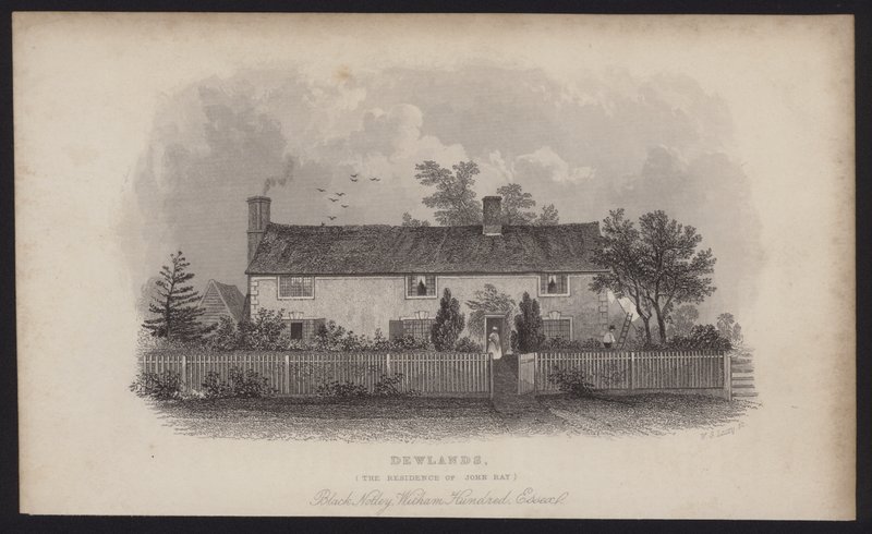 Dewlands, residensen til John Ray, Black Notley, Witham Hundred, Essex (gravering) av English School