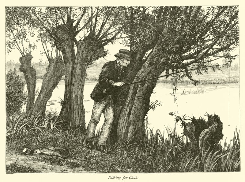 Dibbing for Chub av English School