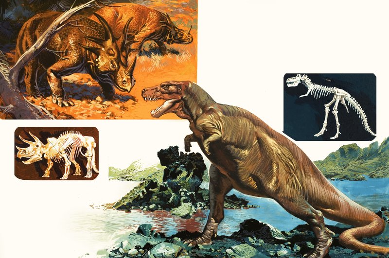 Dinosaurer og skjeletter. Stegosaurus og Tyrannosaurus av English School