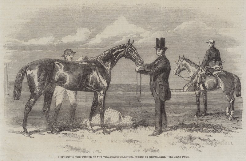 Diophantus, vinneren av Two-Thousand-Guinea-innsatsene på Newmarket (gravering) av English School