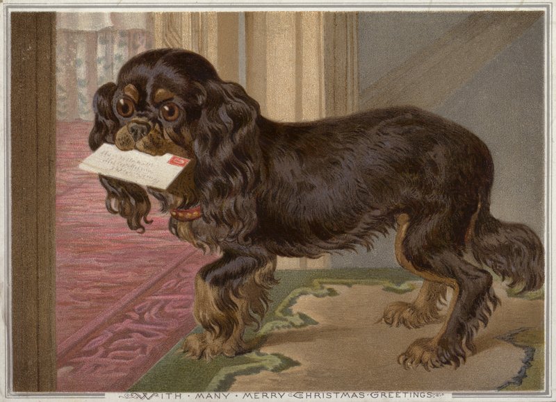 Hund som bærer en bokstav i munnen (chromolitho) av English School