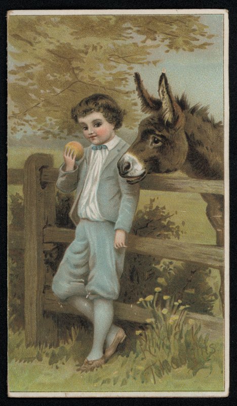 Esel ser på en gutt med et eple, gratulasjonskort. (chromolitho) av English School