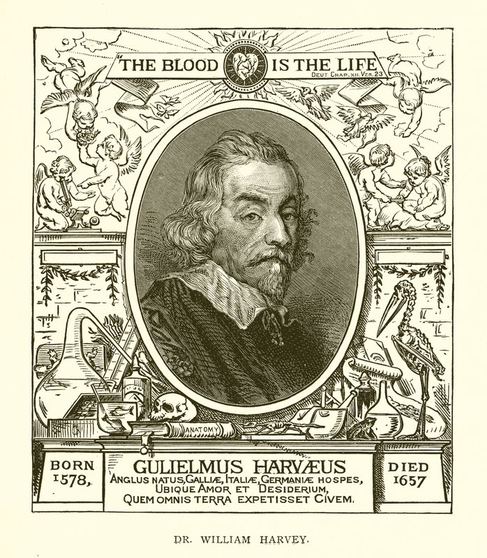 Dr. William Harvey av English School
