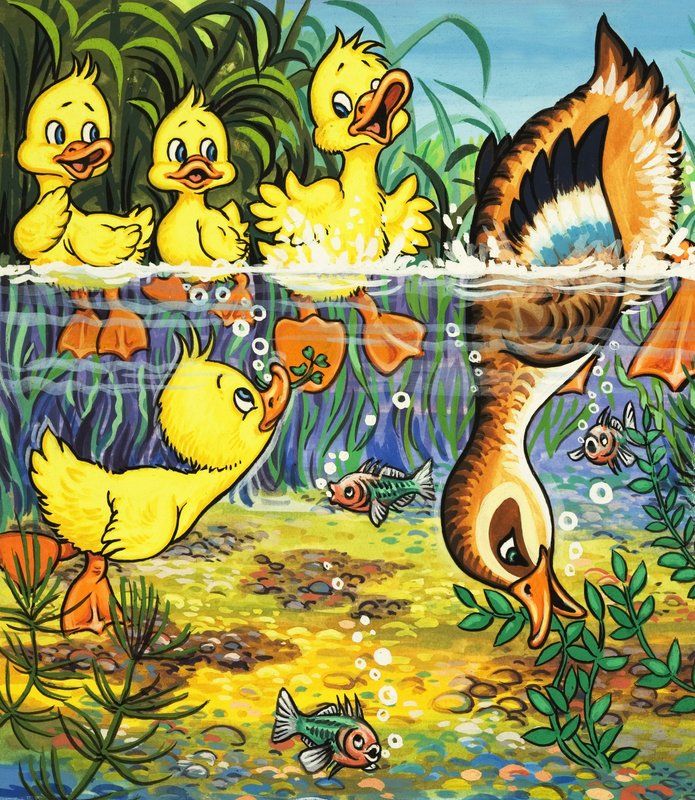 And og andunger (gouache på papir) av English School