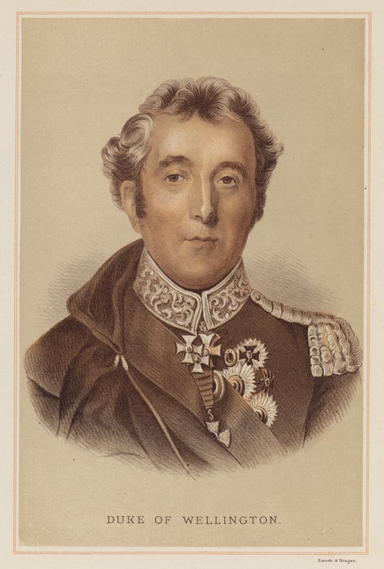 Duke of Wellington (farge litho) av English School